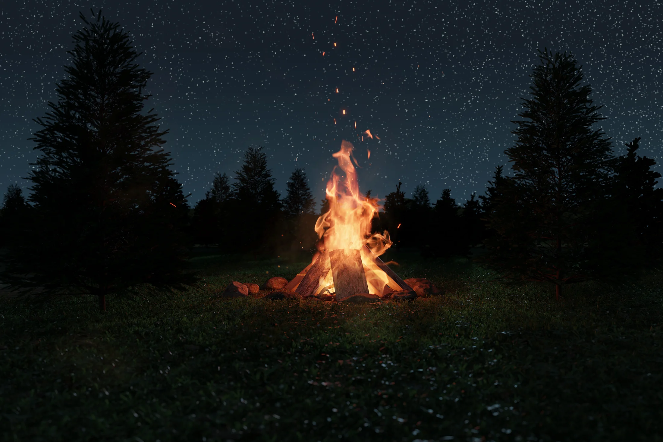 Night sky stars and campfire