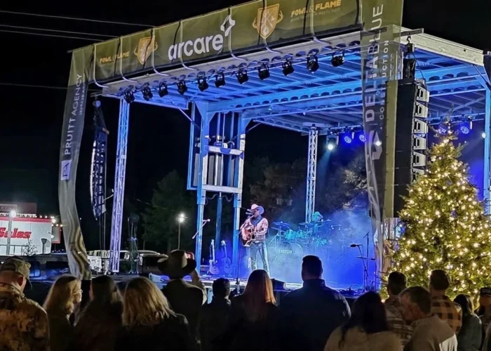 A crowd watches a musician perform on an outdoor stage at night, with a lit Christmas tree and banners visible, and stage lights illuminating the scene.
